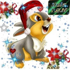 Meet your Posher, Fanny